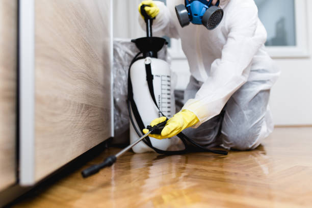 Best Pest Control Near Me in Gotha, FL
