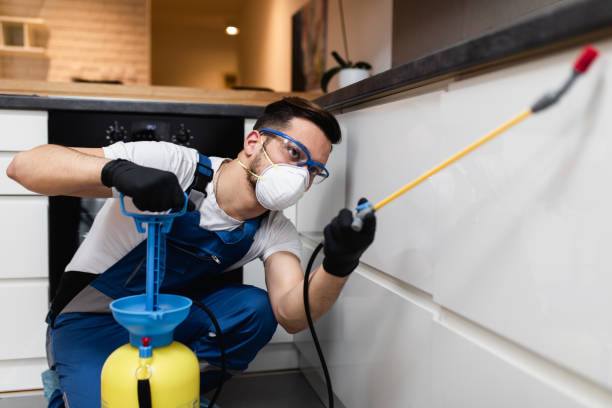 Flea Control Services in Gotha, FL