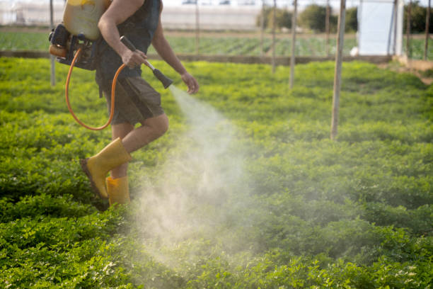Professional Pest Control in Gotha, FL